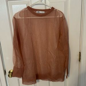 Zara Oversized Sheer Blouse